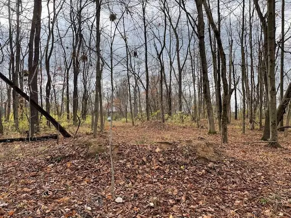 Stoutsville, OH 43154,0 Dozer Road