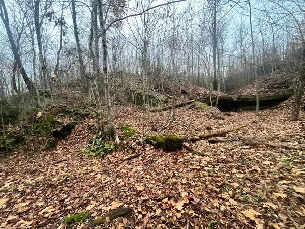 Albany, OH 45710,34775 SR 681 #(Tract 3 Albany Woods)