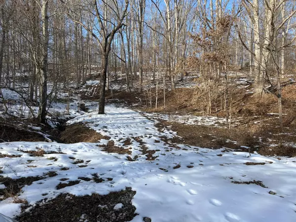 Oak Hill, OH 45656,0 Bucklick Creek Road