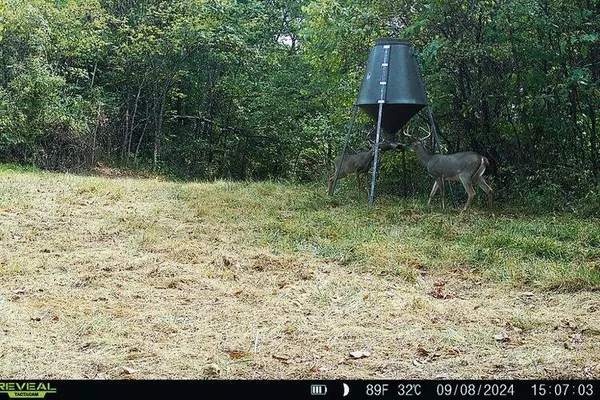 Langsville, OH 45741,0 Van Zant Road