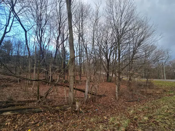 0 Apple Valley Drive, Howard, OH 43028