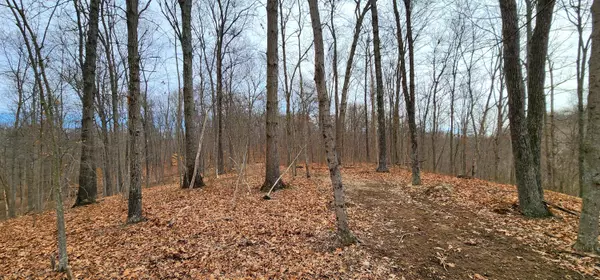 Vinton, OH 45686,0 Edmunson Road #(Tract 4 at Big Timber)