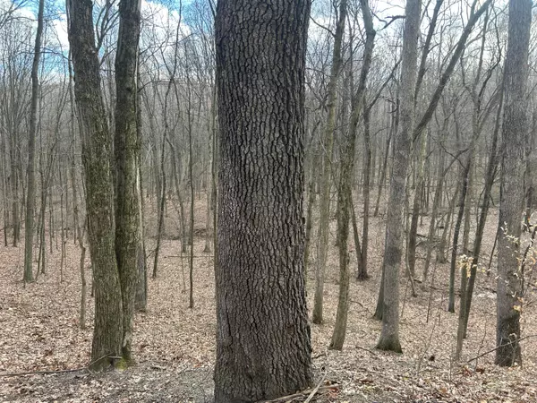 0 Eddyburg Road, Newark, OH 43055