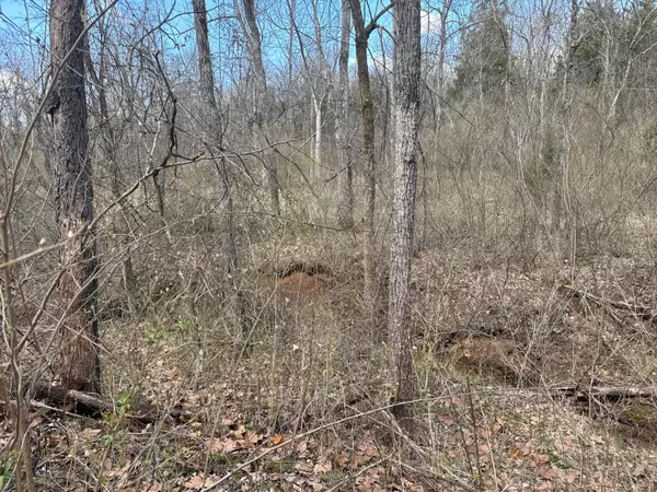 Bidwell, OH 45614,0 Left Fork Road