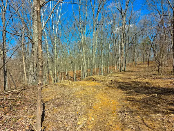 Vinton, OH 45686,0 Edmunson Road #(Tract 7 at Big Timber)