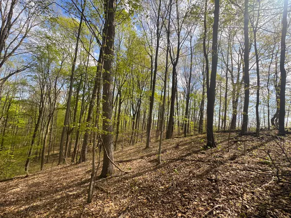 Albany, OH 45710,41447 SR 684 #(Tract 13 Albany Woods)