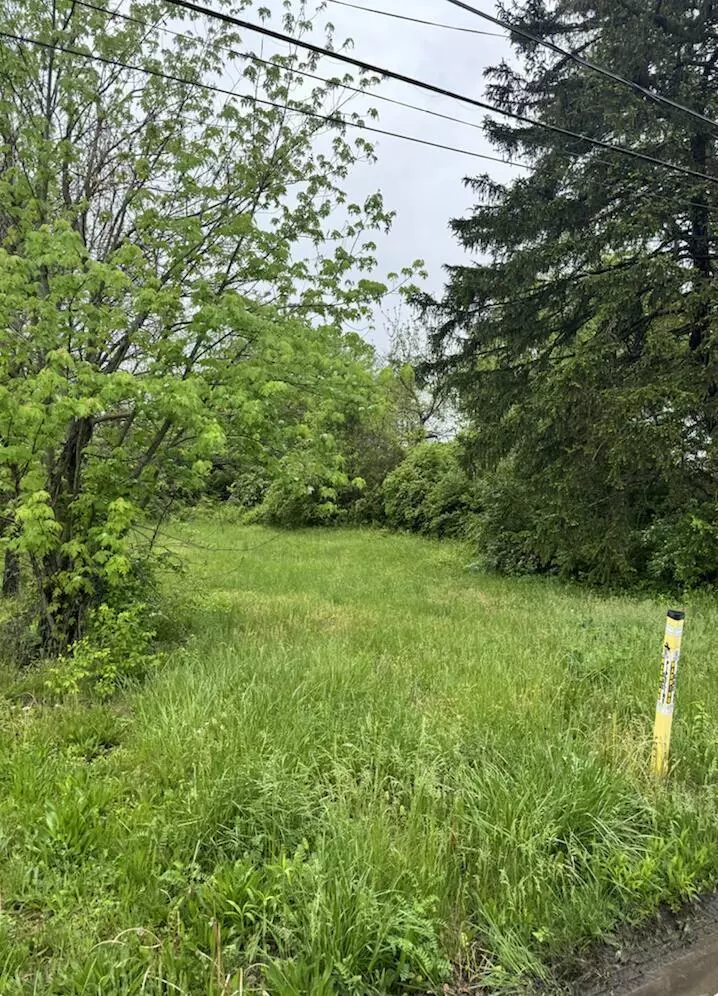 Columbus, OH 43207,572 Elwood Avenue #Lot 113