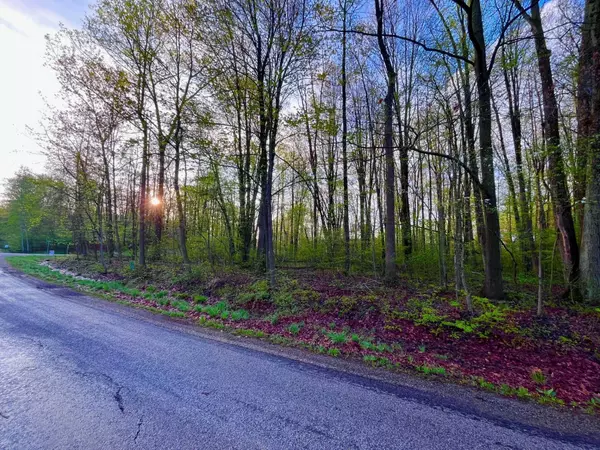 Mount Gilead, OH 43338,7326 State Route 19 #Unit 2, Lots 322 & 323