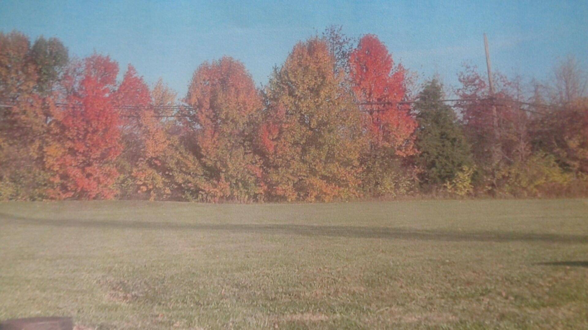 Marion, OH 43302,1250 Pineridge Drive