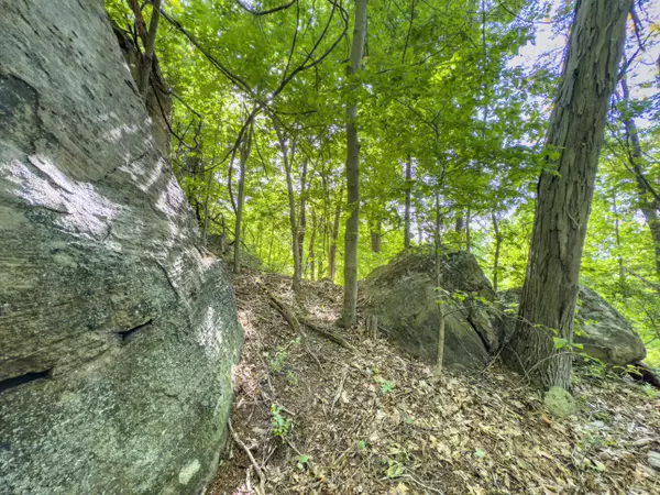 81 Township Road 158, Chesapeake, OH 45619