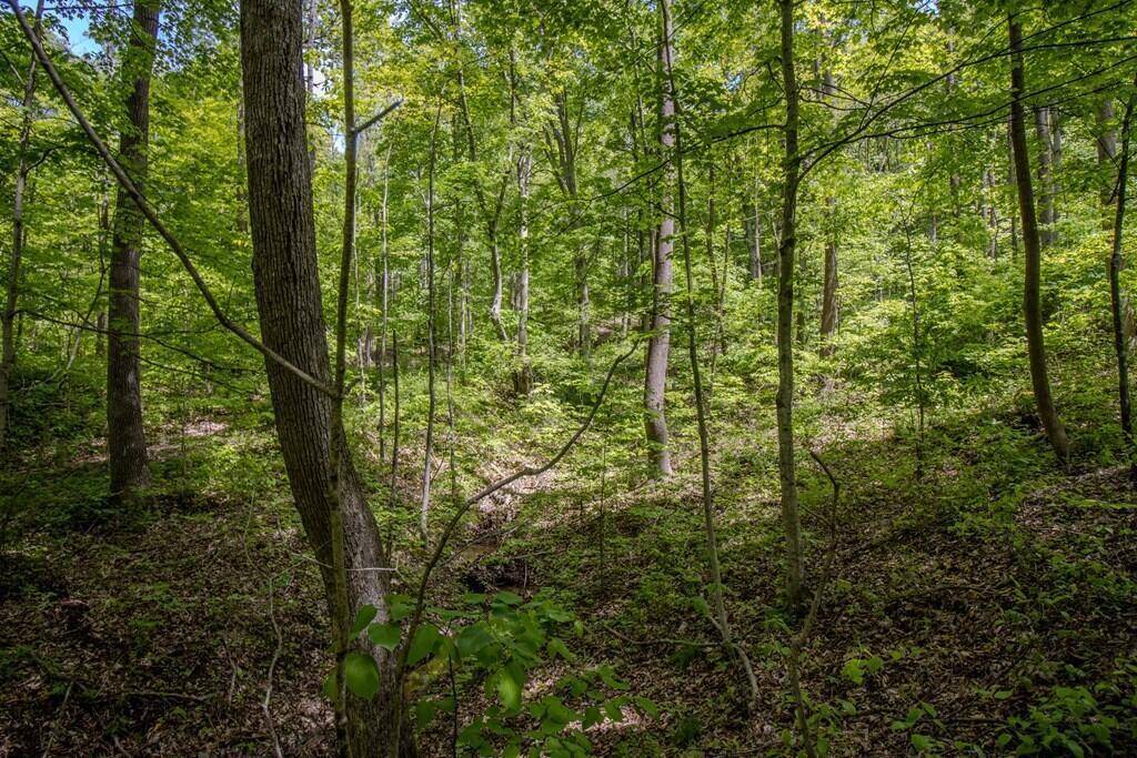 0 Kinzer Road, Bainbridge, OH 45612