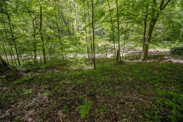 Bainbridge, OH 45612,0 Kinzer Road