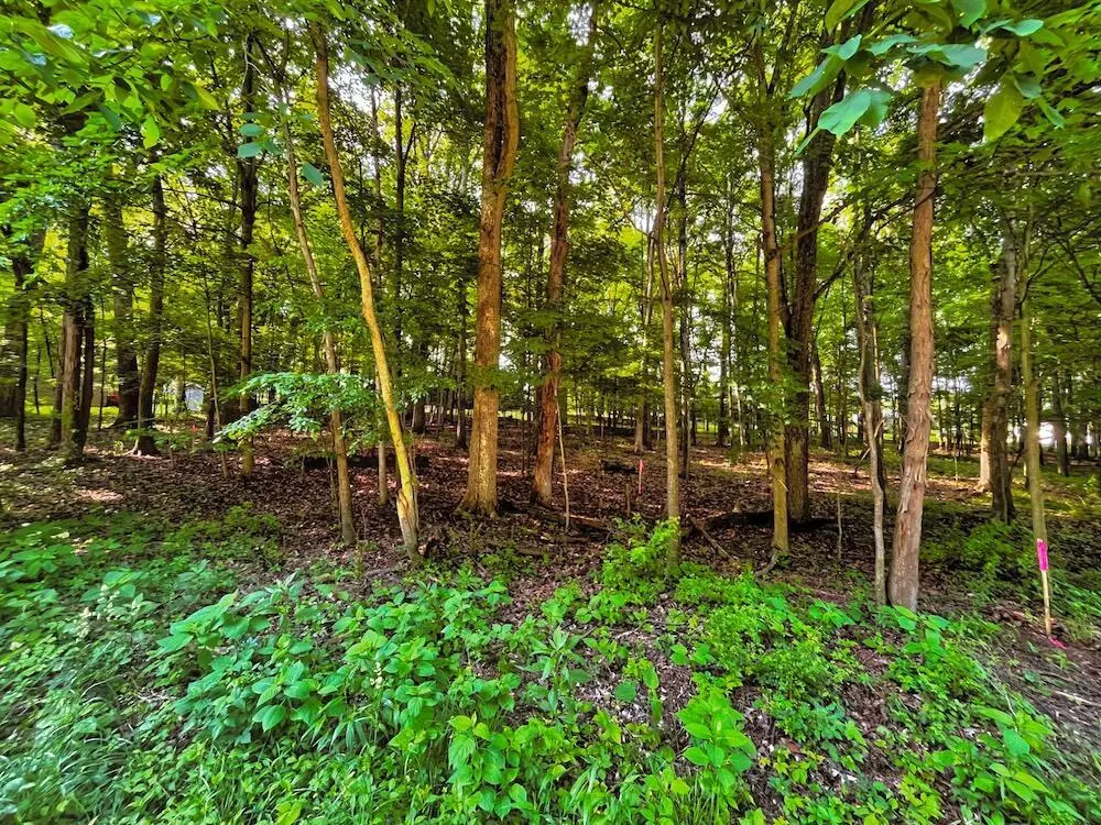 Howard, OH 43028,399 Valleyridge Drive