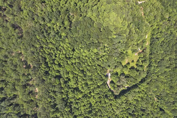 Londonderry, OH 45647,32044 Gibson Hollow Road