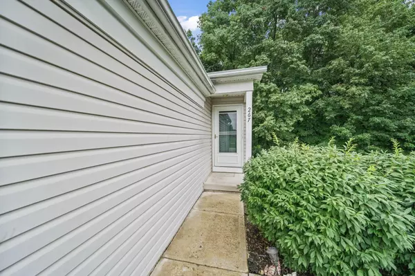 Blacklick, OH 43004,267 Brueghel