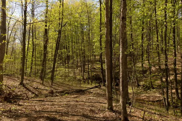 Langsville, OH 45741,0 Will Vance Road #lot#1