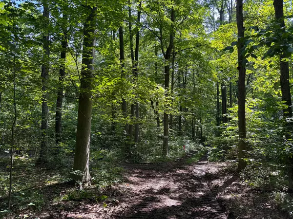 Mcarthur, OH 45651,0 Wolf Hill Road #(Tract 1 Wolf Hill)