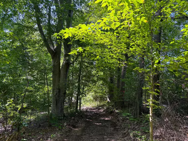 Mcarthur, OH 45651,0 Wolf Hill Road #(Tract 1 Wolf Hill)