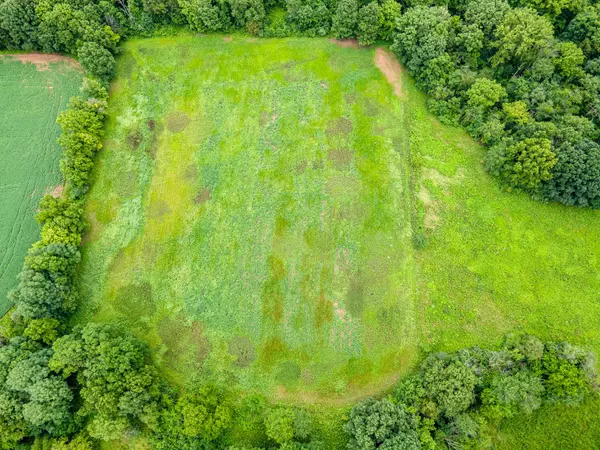 Cardington, OH 43315,2323 County Road 184