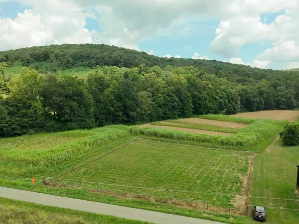 Bainbridge, OH 45612,0 Schmidt Road