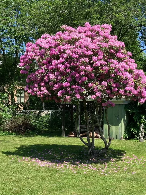 Newark, OH 43055,464 Moull Street