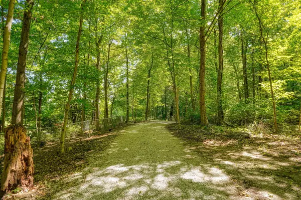 Carroll, OH 43112,3016 Kauffman Road