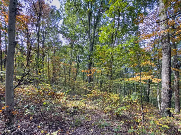 Wilkesville, OH 45695,2 Perry Ridge Rd