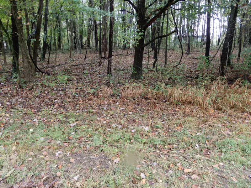 0 Daffodil Drive, Howard, OH 43028