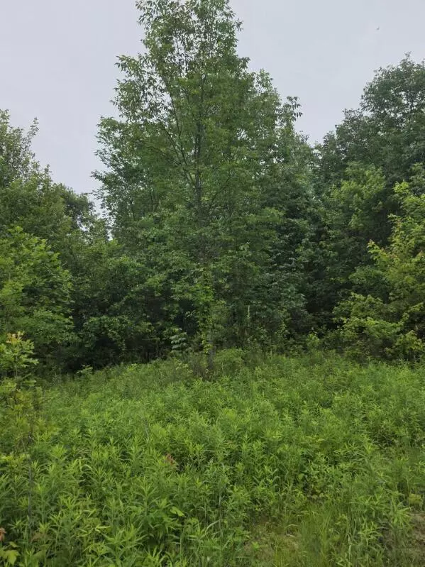 Mount Gilead, OH 43338,4719 Twp 115 Road