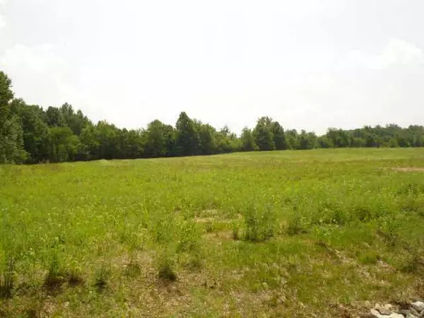 Granville, OH 43023,126 Williamson Road #LOT #81