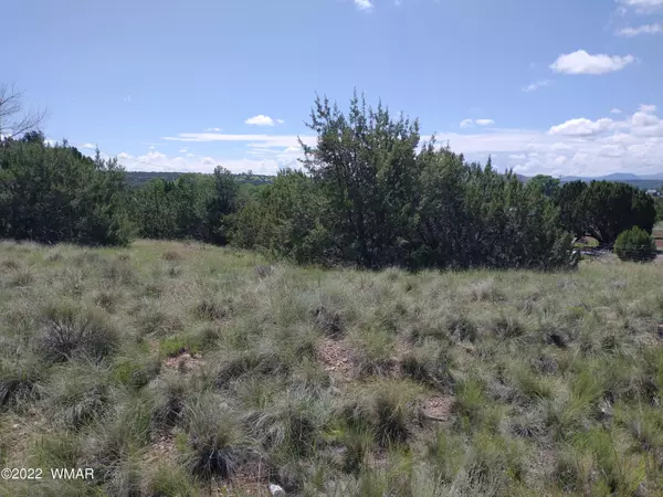 Concho, AZ 85924,98 Evergreen Lane