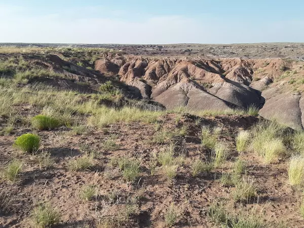 Holbrook, AZ 86025,22 Acres Coyote Rd