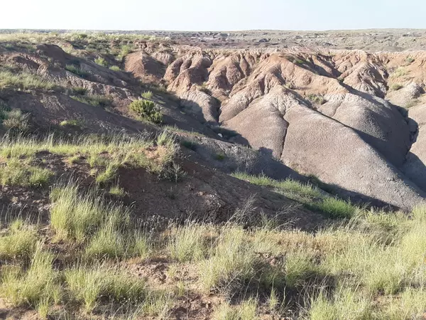 Holbrook, AZ 86025,22 Acres Coyote Rd