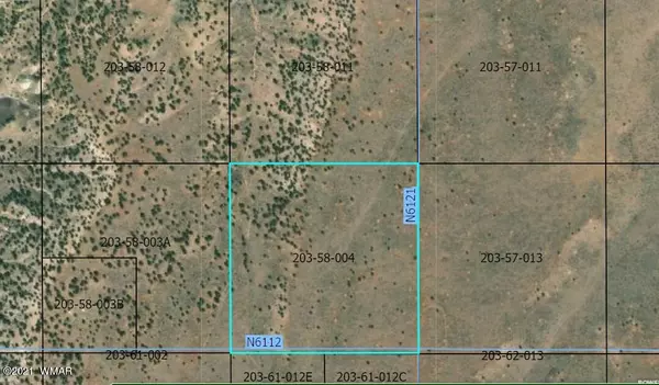 4 40 acres Sec 14 T13NR29E N6112, St. Johns, AZ 85936