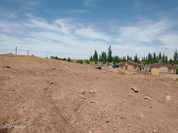 Winslow, AZ 86047,1210 W Aspinwall Street