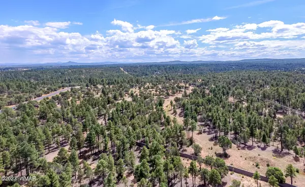 Show Low, AZ 85901,43 N 43rd Avenue