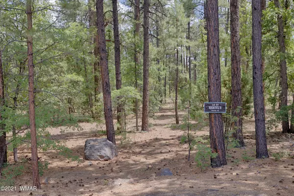 Pinetop, AZ 85935,57 E Vista Lane