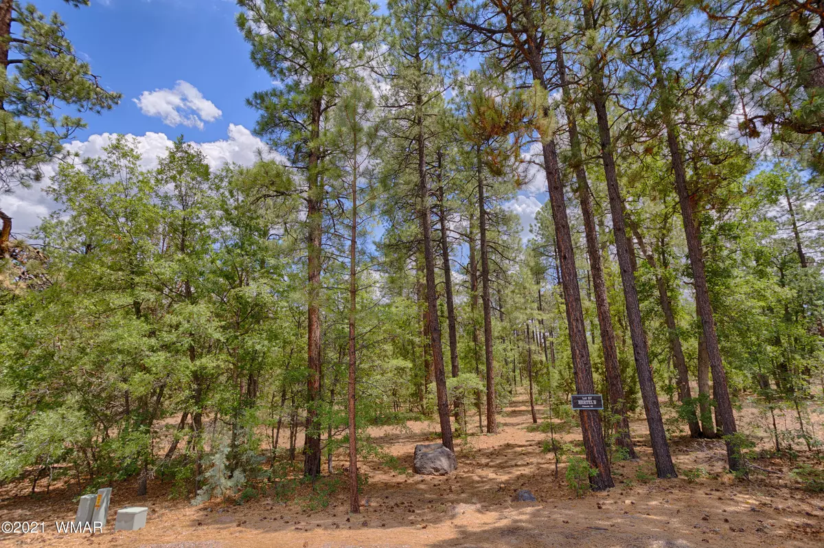 Pinetop, AZ 85935,57 E Vista Lane