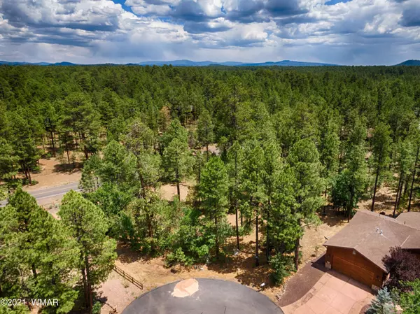 Pinetop, AZ 85935,57 E Vista Lane