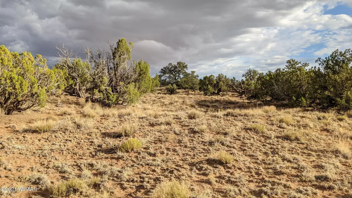 St. Johns, AZ 85936,193 Woodland Valley Ranch