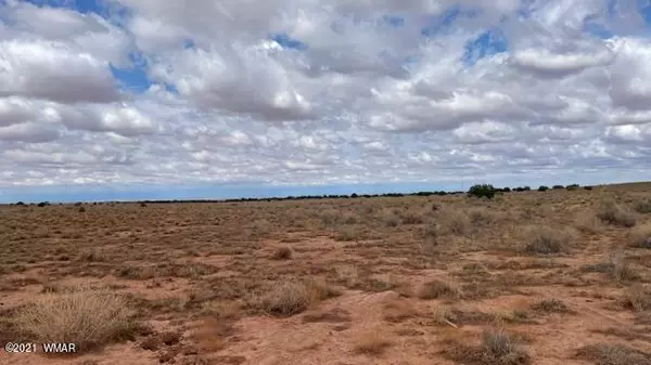 Snowflake, AZ 85937,43 Snowflake Ranches