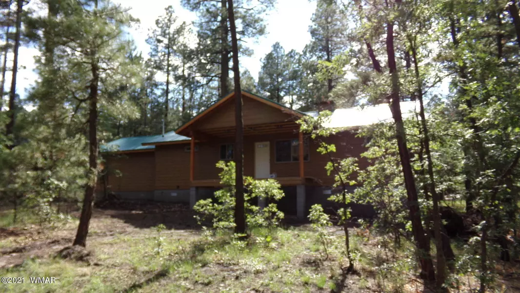 11 COUNTY RD. 2069, Alpine, AZ 85920