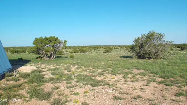 Concho, AZ 85924,648 County Road 8500