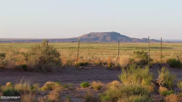 Sanders, AZ 86512,Adamana Rd 43.86 Acres