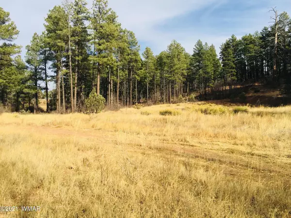 Show Low, AZ 85901,0 AZ-260