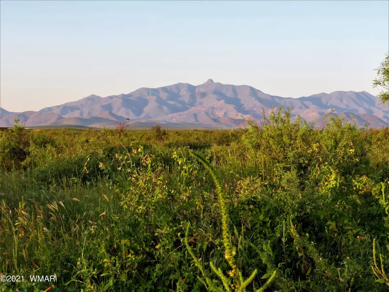 E Phillips 30 Acres, Willcox, AZ 85643