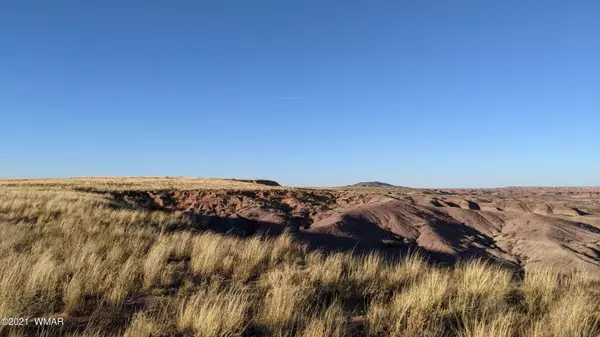 Holbrook, AZ 86025,39 Overlooking the Painted Desert