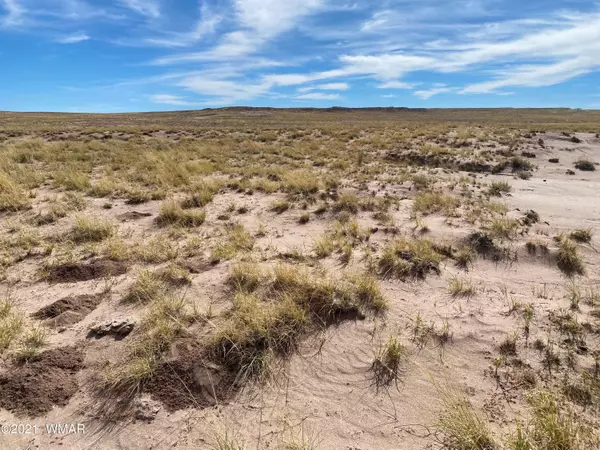 Joseph City, AZ 86032,0 N Porter Rd