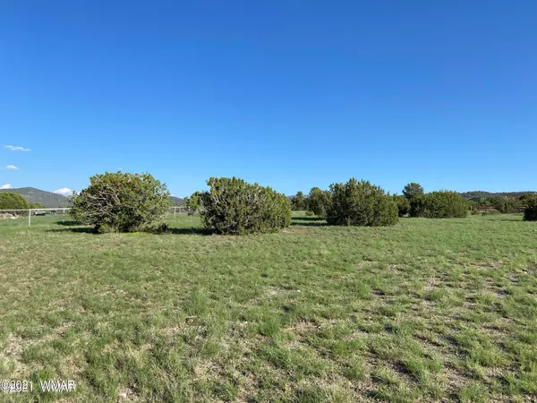 Elk Crest Way, Eagar, AZ 85925