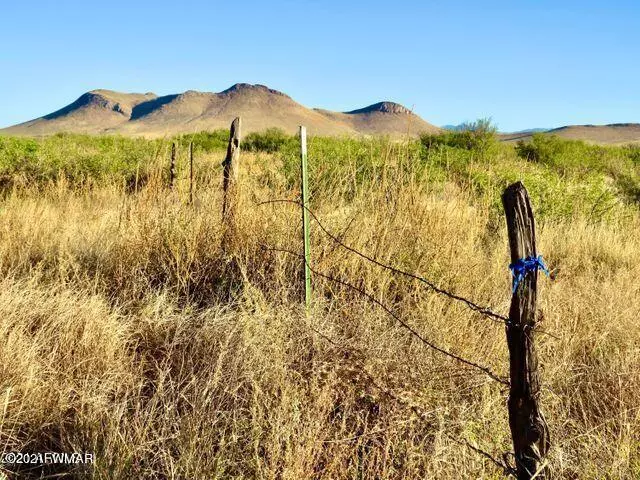 Pearce, AZ 85625,Doe Ranch Rd  40.1 Acres